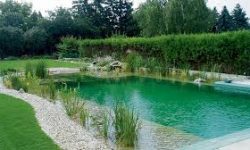 Natural Pools and Ponds